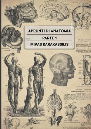 Appunti di anatomia