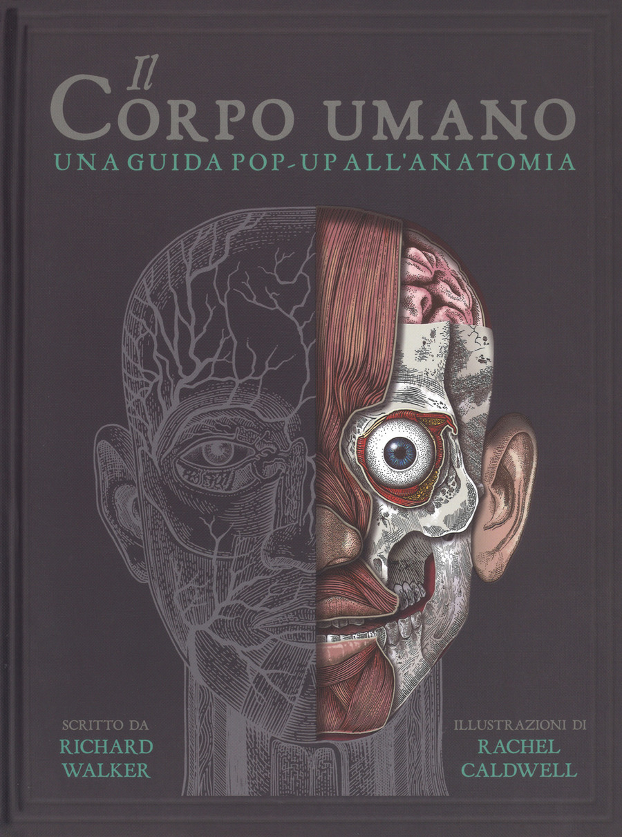 Il corpo umano pop up di Sophia Emelenko, Libri