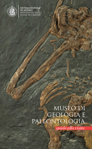 Museo di geologia e palentologia. Guida alla visita