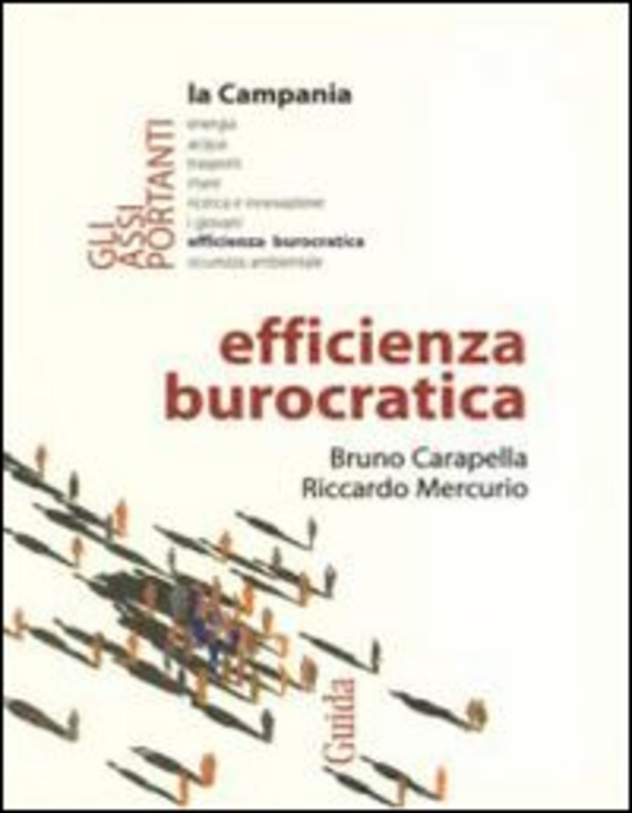 Efficienza burocratica