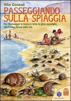 Passeggiando sulla spiaggia. Per riconoscere le tracce e tutte le altre meraviglie che il mare lascia sulla riva. Ediz. illustrata