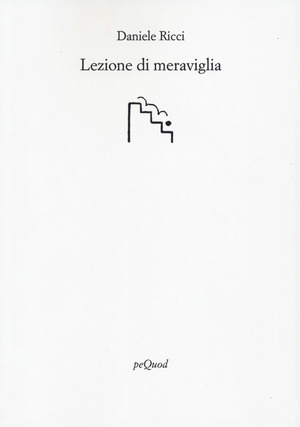 Lezione di meraviglia