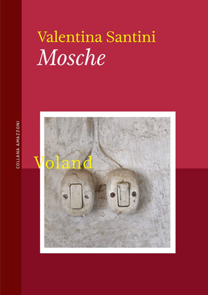 Mosche Mosche