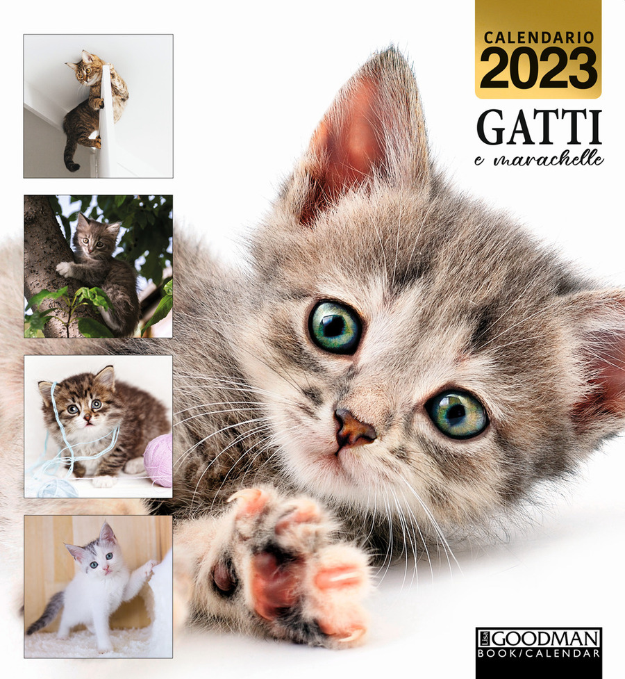 GATTI CHE CAGANO CALENDARIO 2023: Il calendario 2023 dei gatti