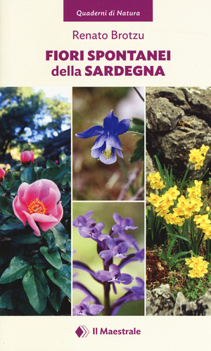 Fiori spontanei della Sardegna. Ediz. a colori