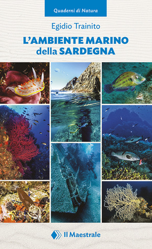 L' ambiente marino della Sardegna. Ediz. illustrata
