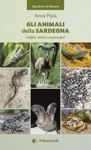 Gli animali della Sardegna