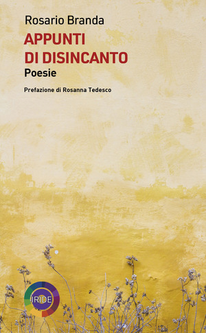 Appunti di disincanto