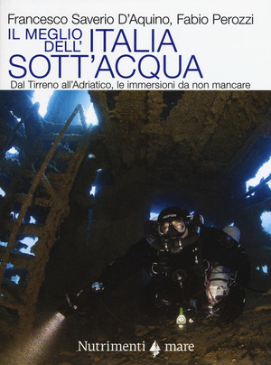 Il meglio dell'Italia sott'acqua. Dal Tirreno all'Adriatico, le immersioni da non mancare Il meglio dell'Italia sott'acqua. Dal Tirreno all'Adriatico, le immersioni da non mancare