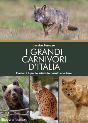 I grandi carnivori d'Italia. L’orso, il lupo, lo sciacallo dorato e la lince
