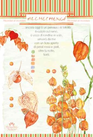 Alchechengi. Ricordati di ricordare