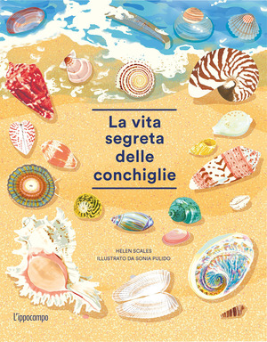 La vita segreta delle conchiglie La vita segreta delle conchiglie