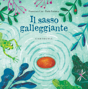 Il sasso galleggiante. Ediz. a colori