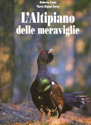 L' altipiano delle meraviglie. Ediz. illustrata