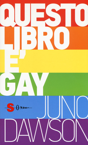 Questo libro è gay Questo libro è gay