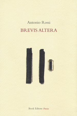 Brevis altera