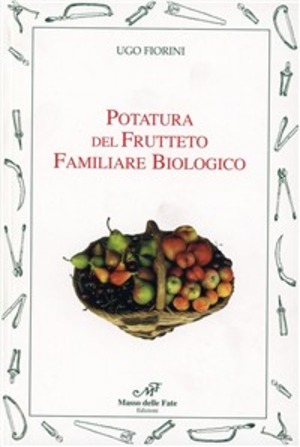 L' attività artistica