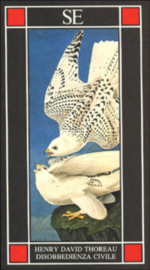 Disobbedienza civile