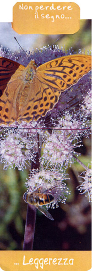 Farfalla (segnalibro)