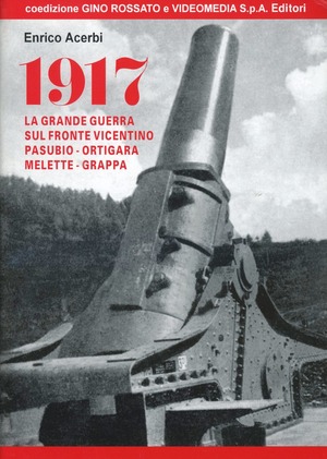 1917: la grande guerra sul fronte vicentino. Pasubio, Ortigara, Melette, Grappa. Con videocassetta