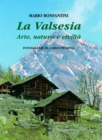 La Valsesia. Arte, natura e civiltà. Ediz. multilingue