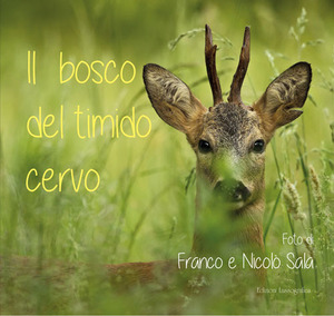 Il bosco del timido cervo. Ediz. illustrata