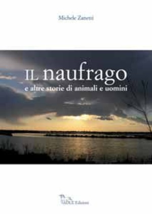 Il naufragio. Ediz. illustrata