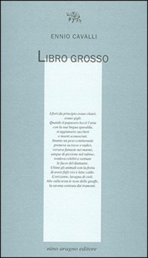 Libro grosso