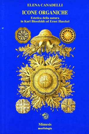 Icone organiche. Estetica della natura in Karl Blossfeldt ed Ernst Haeckel