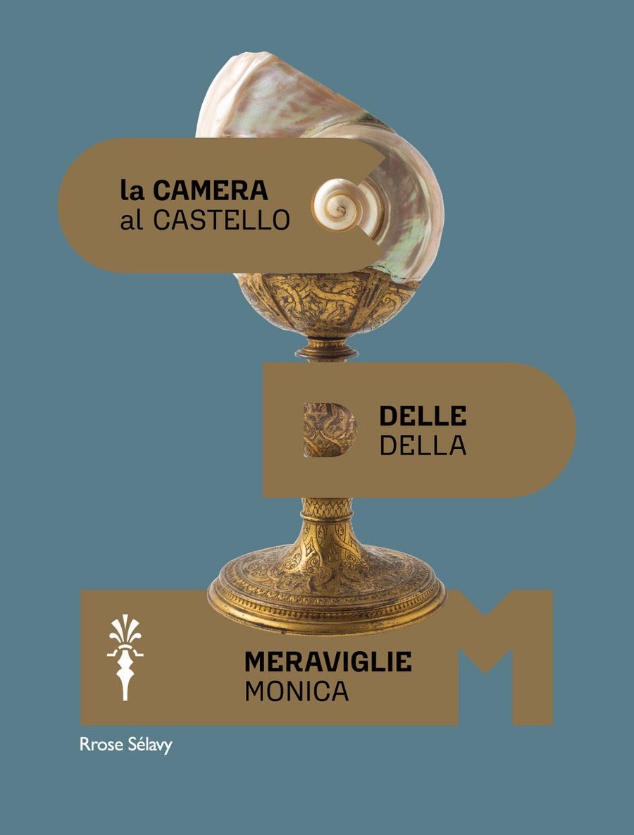 La camera delle meraviglie. Ediz. a colori