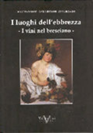 I luoghi dell'ebbrezza. I vini nel bresciano