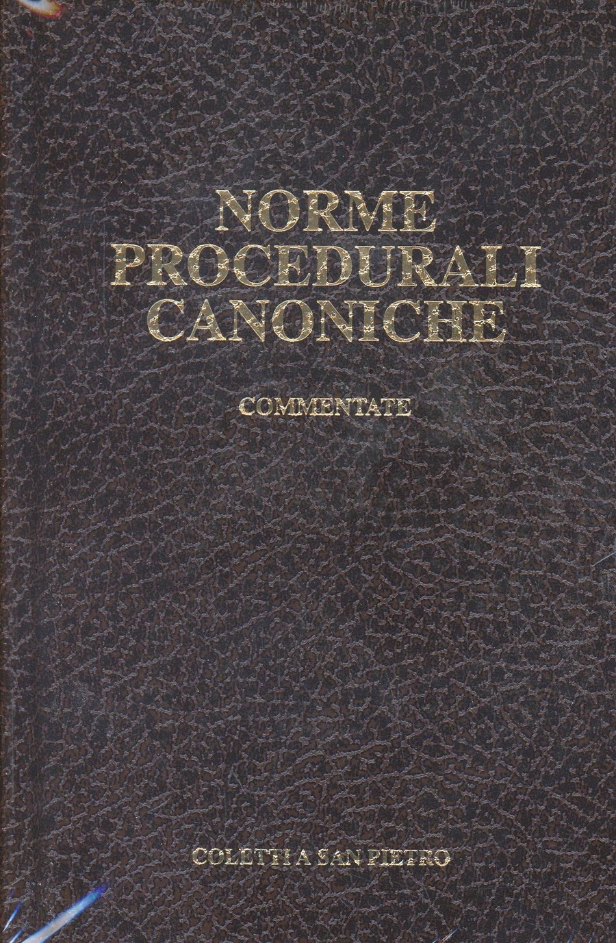 Norme procedurali canoniche