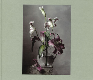 Christopher Broadbent. Quel che rimane. Ediz. a colori