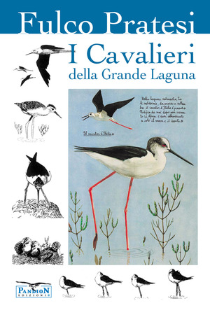 I cavalieri della grande laguna