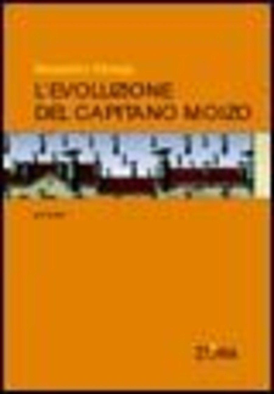 L' evoluzione del capitano Moizo. Cronache dei bombardamenti 2001-2003