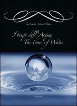 I tempi dell'acqua-The times of water. Ediz. bilingue