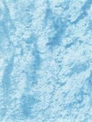 Where does the white go. Ediz. bilingue