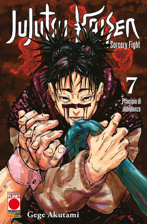 Jujutsu Kaisen. Sorcery Fight