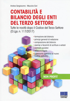 Contabilità e bilancio degli enti del terzo settore