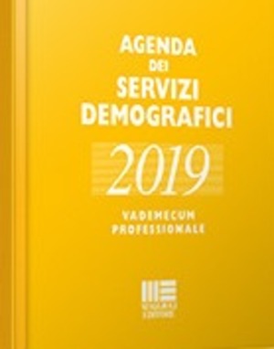 Agenda dei servizi demografici 2019. Vademecum professionale. Con chiavetta USB