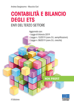 Contabilità e bilancio degli enti del terzo settore