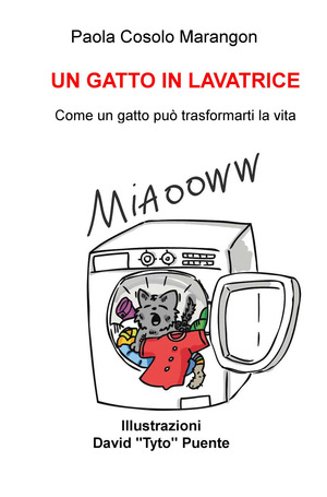 Un gatto in lavatrice. Come un gatto può trasformarti la vita