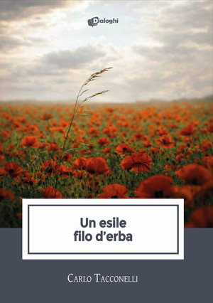 Un esile filo d'erba