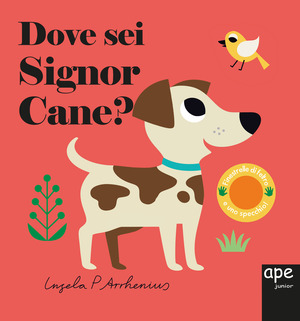Dove sei, signor Cane? Ediz. a colori