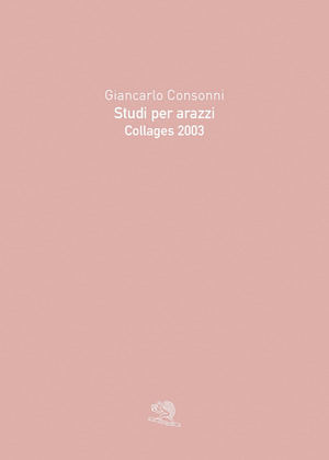 Studi per arazzi. Collages 2003. Ediz. illustrata