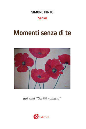 Momenti senza di te. Dai miei «scritti notturni»