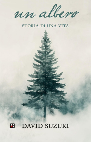 Un albero. Storia di una vita. Ediz. illustrata