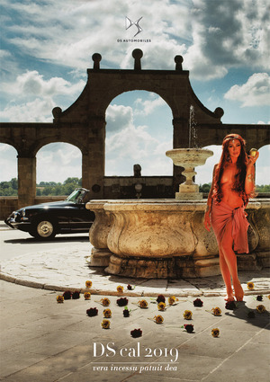 Calendario DS 2019. Ediz. limitata