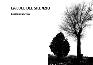 La luce del silenzio. Alla ricerca di serenità interiore. Ediz. illustrata