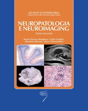 Neuropatologia e neuroimaging. Testo atlante
